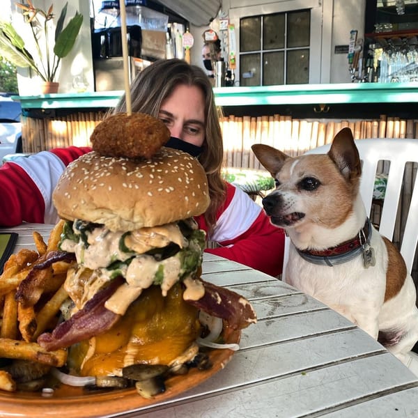 A person and a small dog gaze at a giant burger with fries on a white outdoor table.